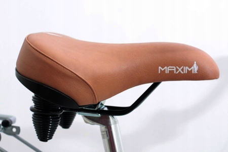 Rower miejski MAXIM MC 1.4.21 Turkus rama 18 cali koło 28 " zielony