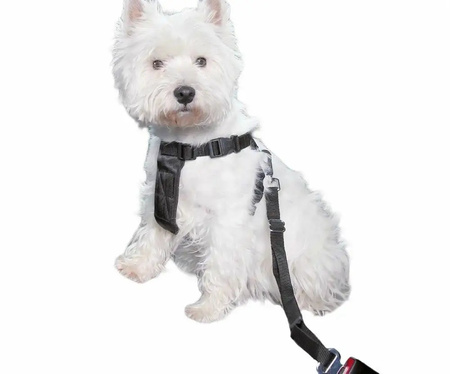 TRIXIE Szelki samochodowe dla psa + Smycz XS 1288