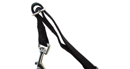 TRIXIE Szelki samochodowe dla psa + Smycz XS 1288