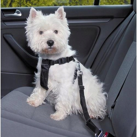 TRIXIE Szelki samochodowe dla psa + Smycz XS 1288