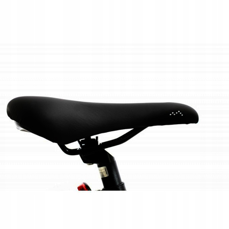 Rower crossowy Maxim MX 5.3 rama 17 cali koło 28 " biały