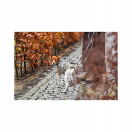 Pontis, płaszczyk z szelkami, dla psa, zielony, XXS: 24 cm